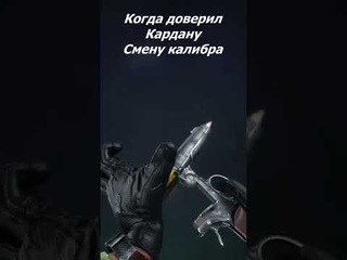 Кардан,и его модификации #сталкер #мем