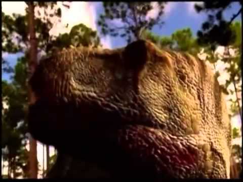 Messaggio Extraterrestre Eugenio Siragusa George Adamsky Stefan