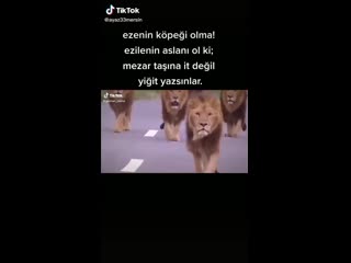 bbe9c3172354d5e35259734a0c25ed9e.mp4