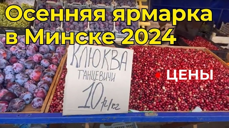 Осенние ярмарки 2024 Минск ЦЕНЫ на продукты, Minsk Autumn Fairs 2024 Product