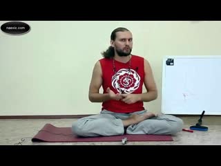 Денис Малинов - Откуда в обществе стало много хлюпиков и бизнес вумен