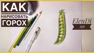 How to draw peas. Comment dessiner des pois. Как нарисовать цветными карандашами поэтапно горох.