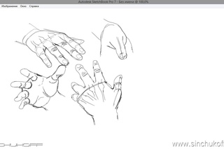 Как рисовать кисти рук в Sketchbook Pro
