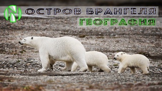 Остров Врангеля, география.