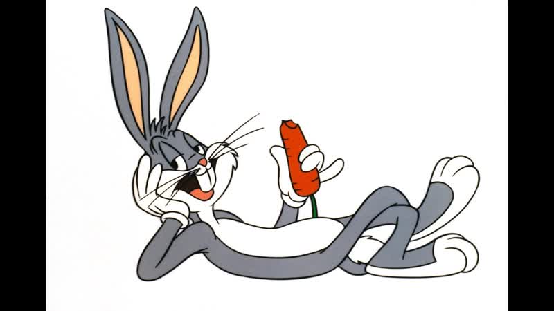 The Origins of Bugs