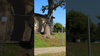 Ollies Off A Roof Into a Tree!  Kieran Woolley