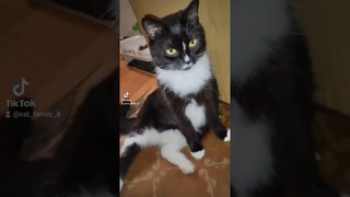 🌸 МАРКИЗА ❤️