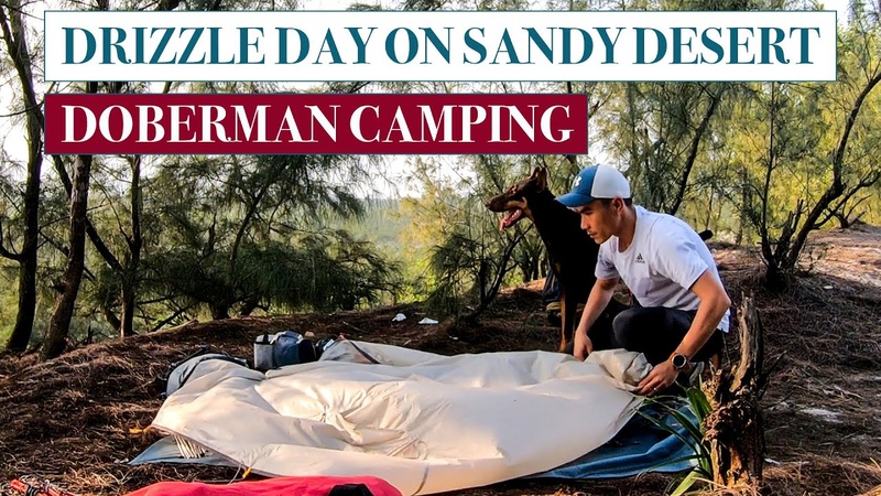 Solo Camping With Dog: Enjoy The Cool Autumn Drizzle of The