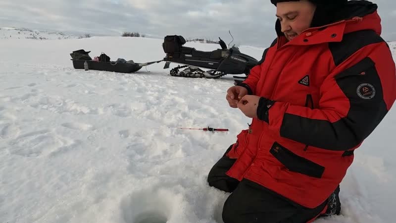 ЗА ГОЛЬЦОМ К БАРЕНЦЕВУ МОРЮ, BEYOND THE CHAR TO THE BARENTS