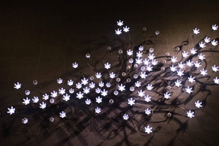 Una Lumino