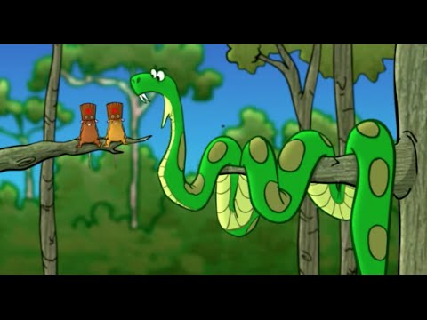 The Green Anaconda