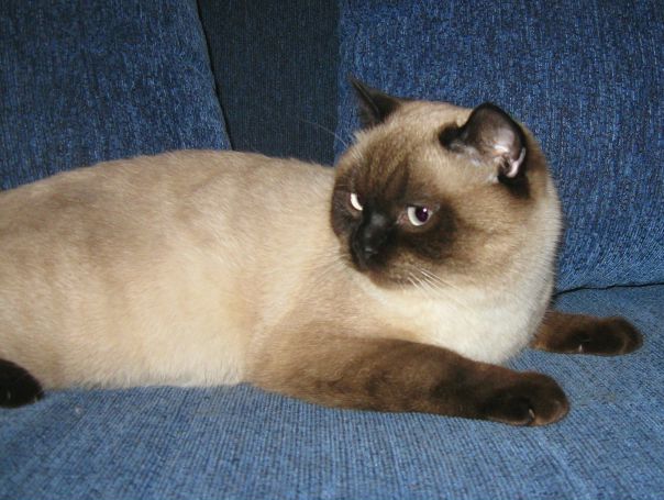 №4, Сергей Колосов, 27 лет, Киев №4, Сергей Колосов, 27 лет, Киев