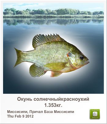 Светлана Лабудина | Вербилки