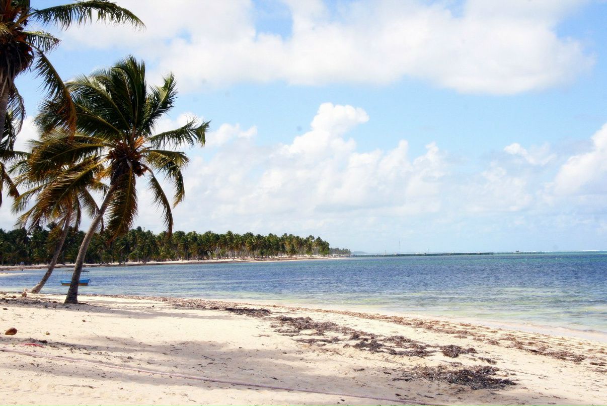 Даша Валявская | Киев