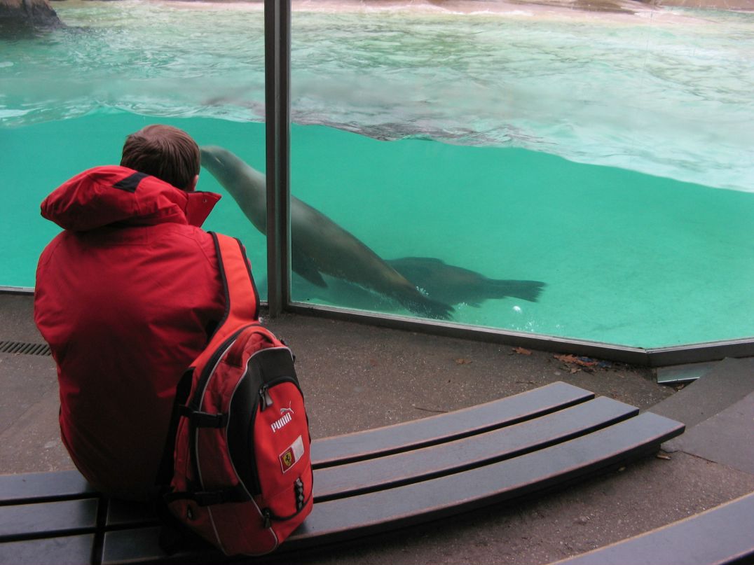 Шамсудин Керимов | Москва