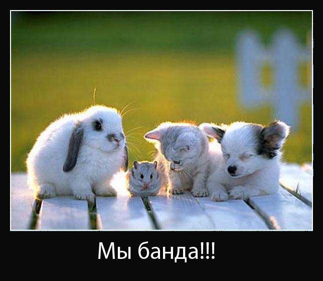 Олег Молчун | Москва