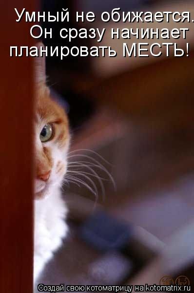 Станислав Масюк | Харьков