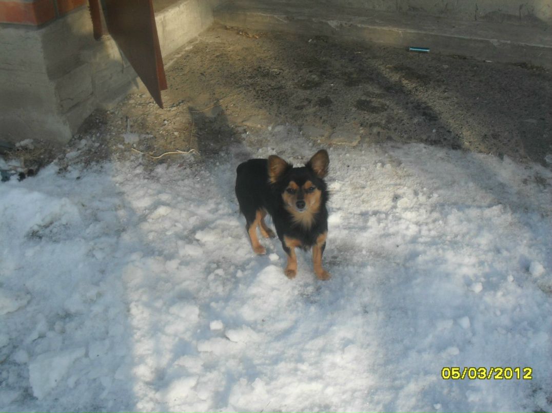 Валентин Максимов | Тюмень