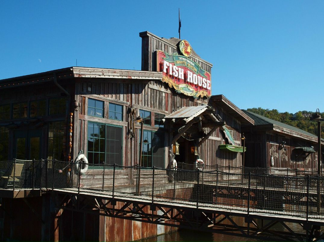 Елена Тонких | Самара