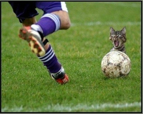 №1, Володимир Веретюк, 32 года, Львов №1, Володимир Веретюк, 32 года, Львов