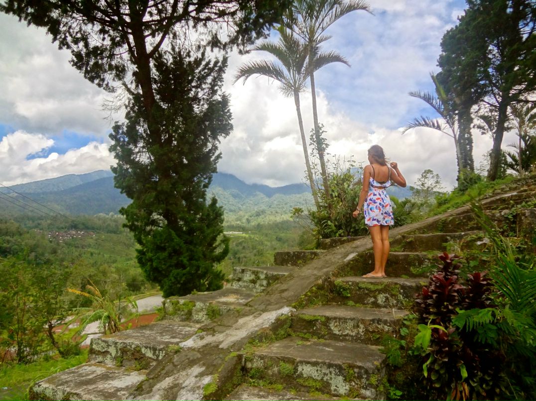 Елена Ильина | 