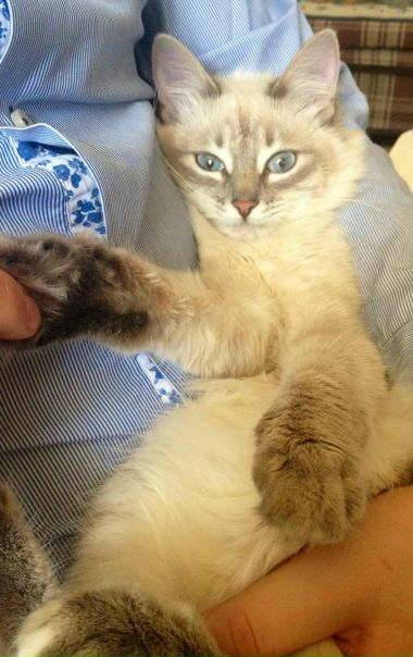 №93, Aleksana Lyukshina, Казань, Россия №93, Aleksana Lyukshina, Казань, Россия