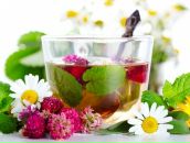 №18, Виктория Казарова №18, Виктория Казарова