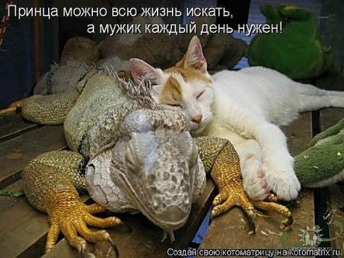 Юлия Салакова | Санкт-Петербург