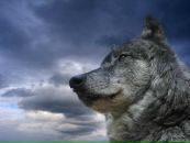 №4 Илья Чубанов : профиль, фото, статус - ВКонтакте №4 Илья Чубанов : профиль, фото, статус - ВКонтакте