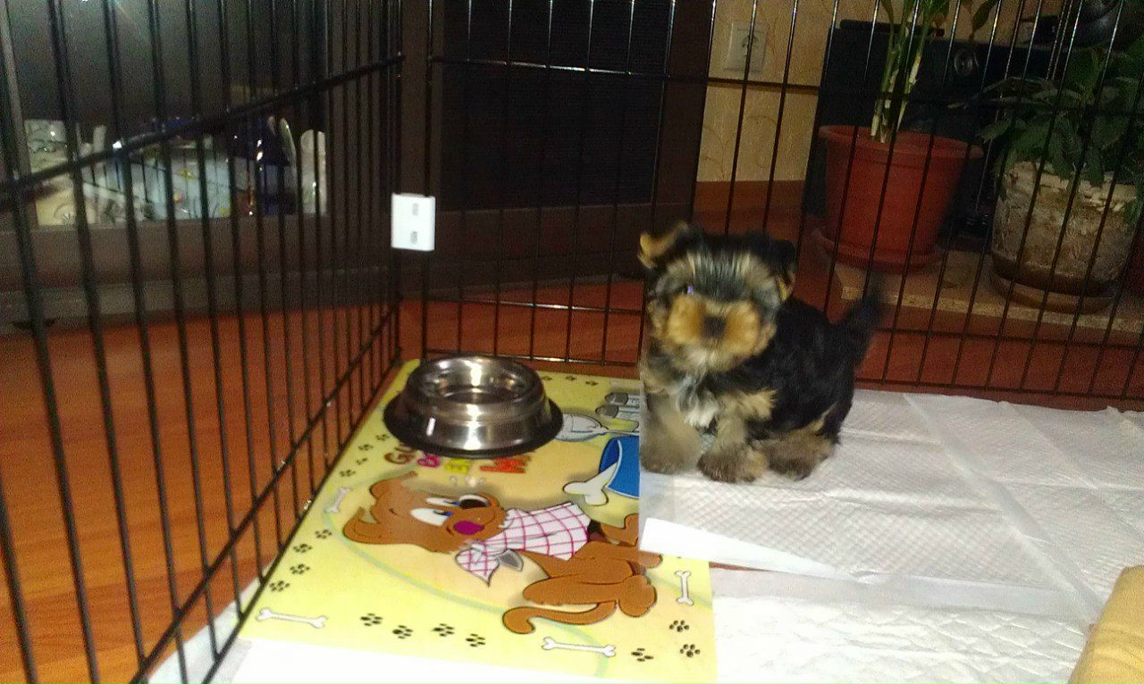 Татьяна Разина | Москва