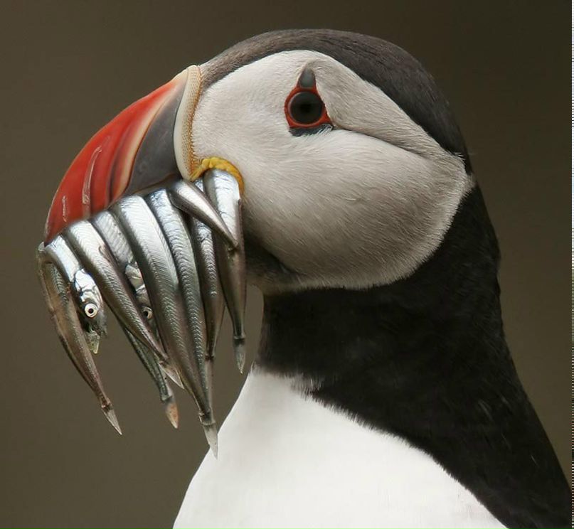 Ольга Д. | Вильнюс