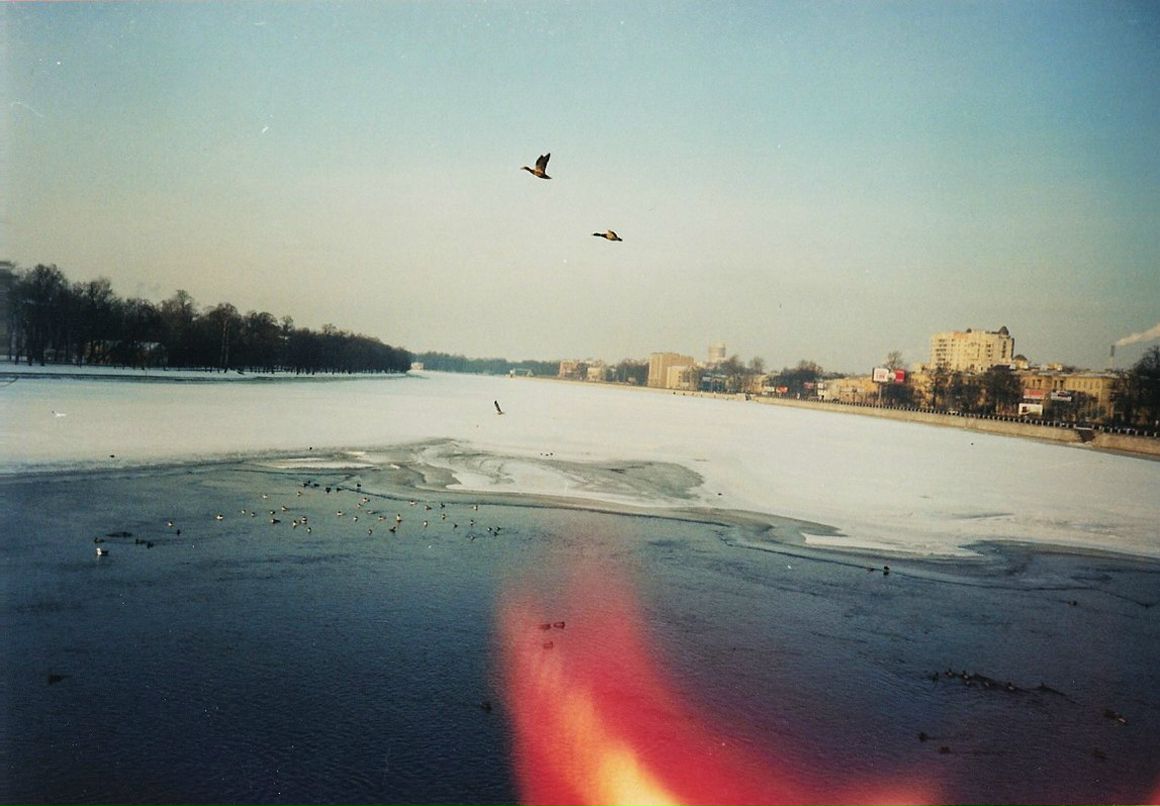 Пельшер Дарья | Montréal