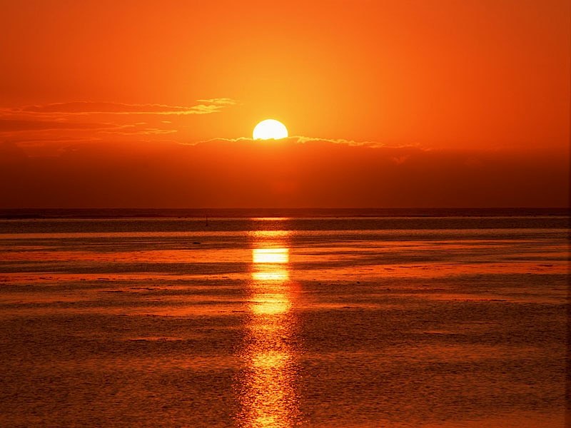 Дмитрий Дмитриев | Москва