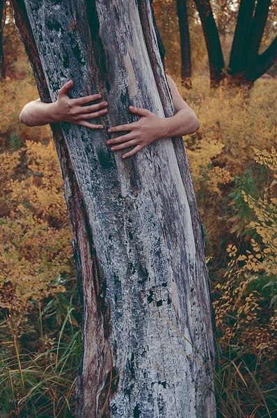 Алексей Абрамов | Москва