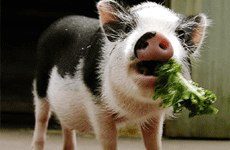 №62, Лариса Златогорская, 45 лет №62, Лариса Златогорская, 45 лет