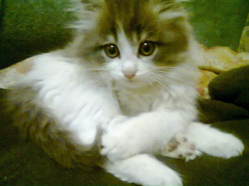 Марина Артамонова | Ярославль