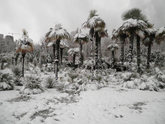 Виталий Дубовой | Старобельск