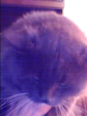 Алексей Пылаев | 