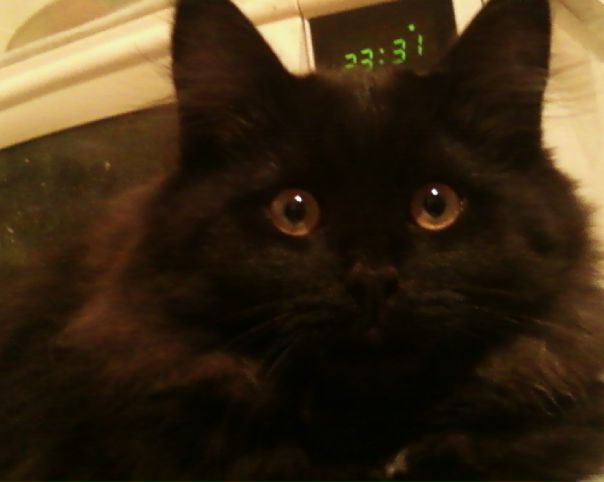 №10, Ольга Селиванова №10, Ольга Селиванова