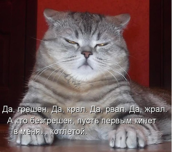 Раиль Галлямов | Уфа