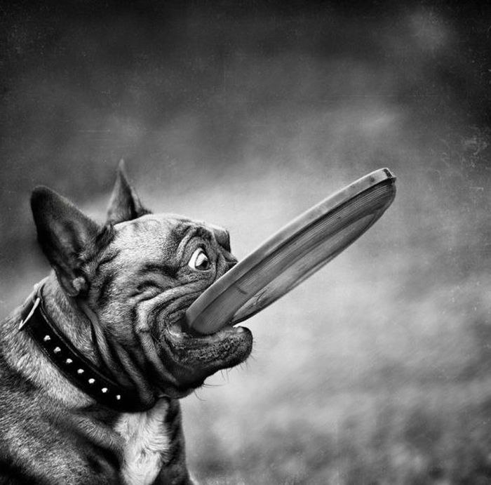 Андрей Зеленко | Бердичев