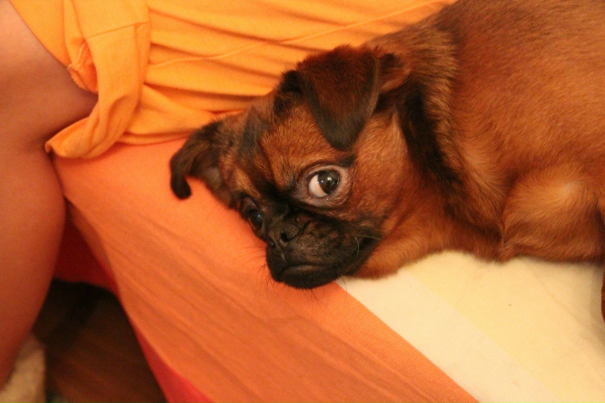 Павел Спирин Молодец | Санкт-Петербург