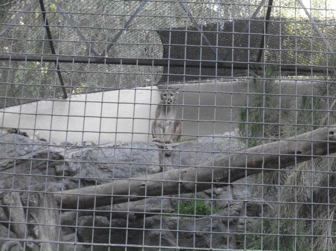 Alexandr Oseev | Magdeburg