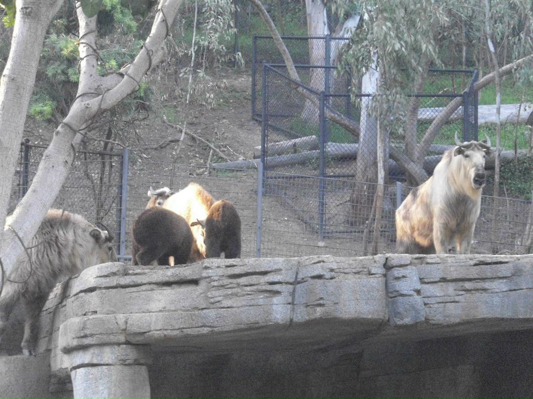 Alexandr Oseev | Magdeburg