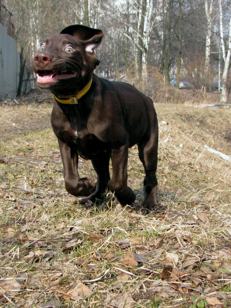 Роман Егоров | Калининград