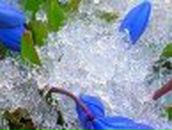 Елена Крылова (смирнова) | Санкт-Петербург