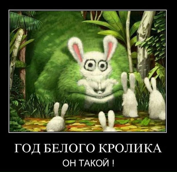 №5, Алексей Бойчук, 46 лет, Львов №5, Алексей Бойчук, 46 лет, Львов