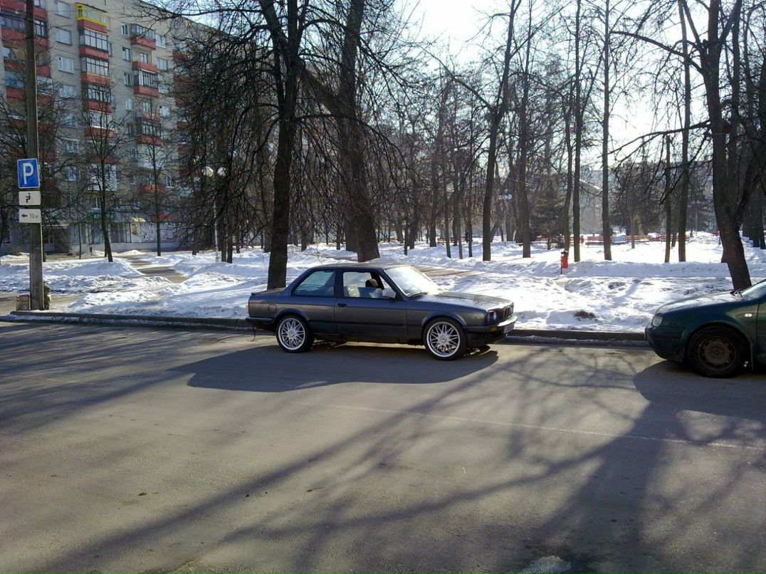 Антон Анисовец | Бобруйск