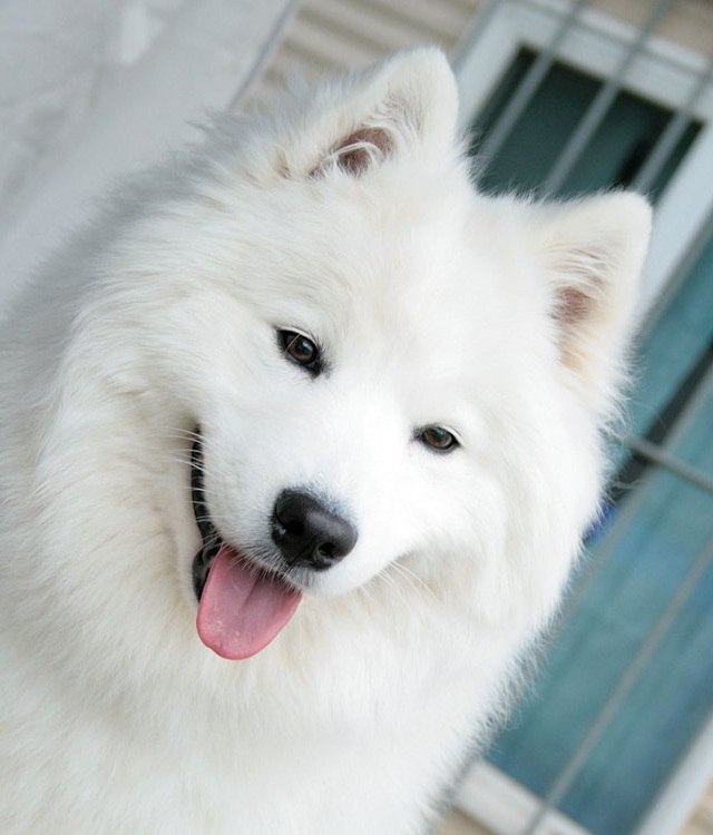 Мария Евгеньевна .ιllιlι.ιl.: Marie :.ιllιlι. | Калининград