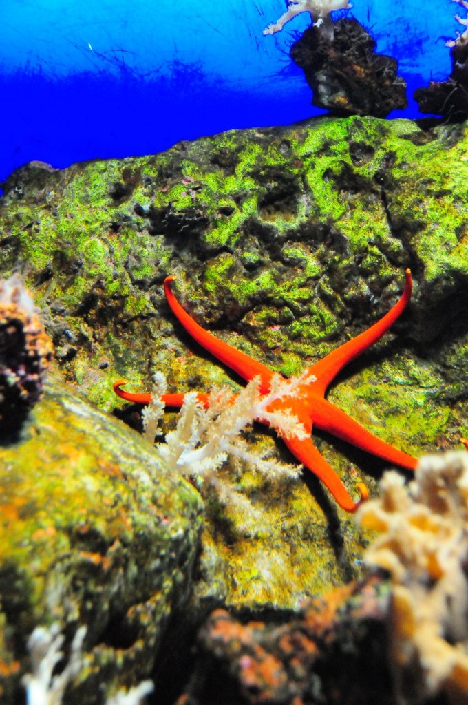 Varvara Sannikova потенциальный гений | Москва